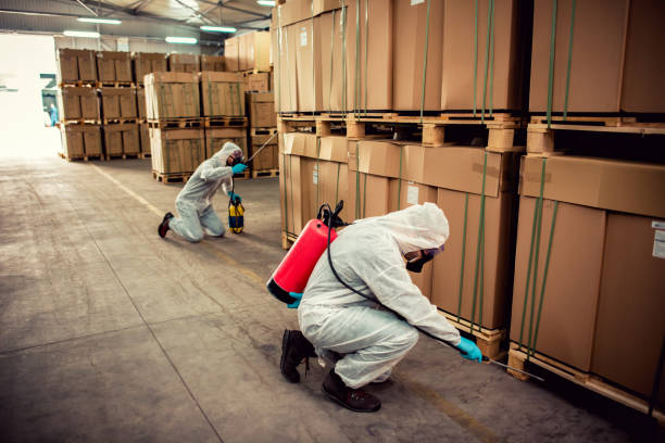 Best Pest Prevention Services  in Millersburg, OR