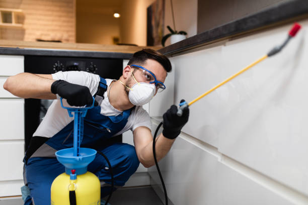 Best Insect Control  in Millersburg, OR