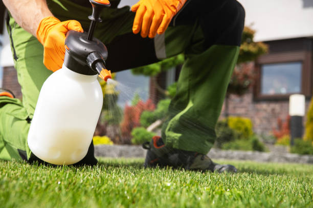 Best Affordable Pest Control Services  in Millersburg, OR