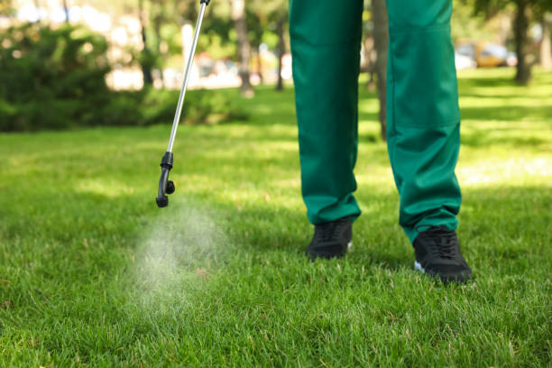 Best Rodent Control Near Me  in Millersburg, OR