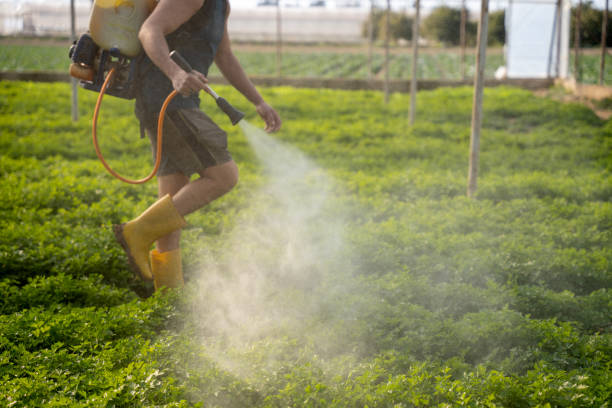 Best Pest Control for Homes  in Millersburg, OR