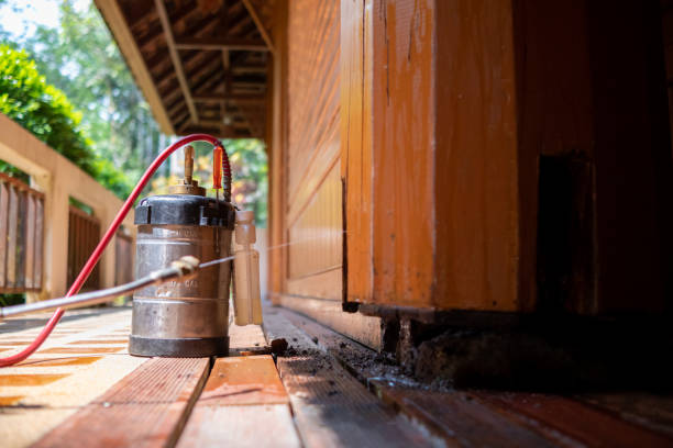 Best Termite Control Services  in Millersburg, OR