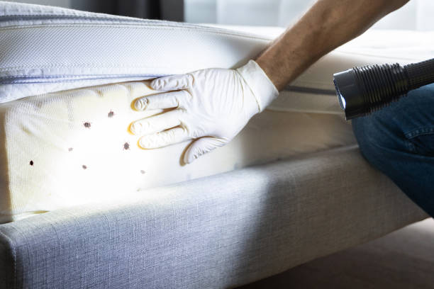 Best Pest Removal Services  in Millersburg, OR