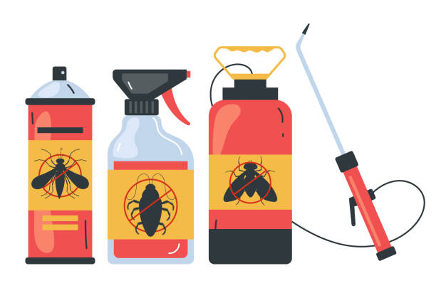 Wasp Removal Services in Millersburg, OR
