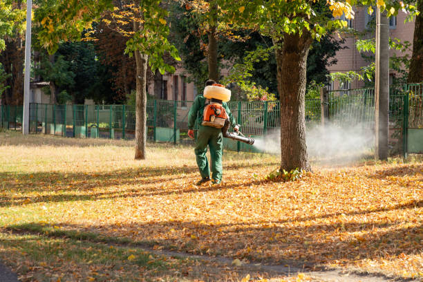 Best Rat Extermination Near Me  in Millersburg, OR